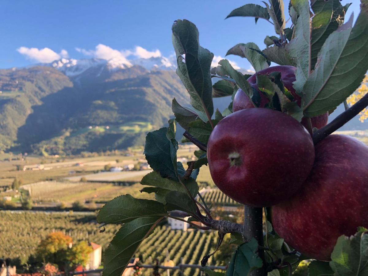 Haus Talblick "Wallbug" Ferienwohnung 1 Naturns Buitenkant foto